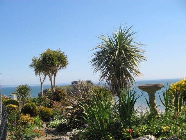 Tenby Palms View from clifftop garden towards St Catherine's Island