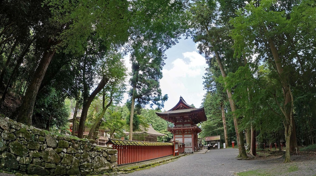"Hiyoshi Taisha Shrine"-foto av z tanuki (CC BY) / Urklipp från original
