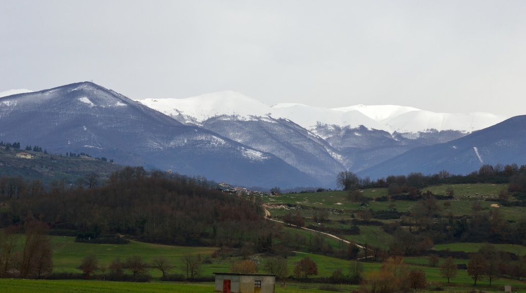 Bildet «Trivigliano» tatt av asocio (CC BY) / originalbilde beskjært