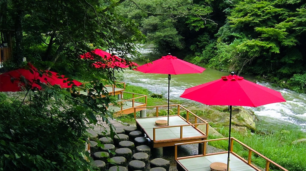 Foto "Taman Kakusenkei" oleh Hiroaki Kaneko (CC BY-SA) / Dipotong dari foto asli
