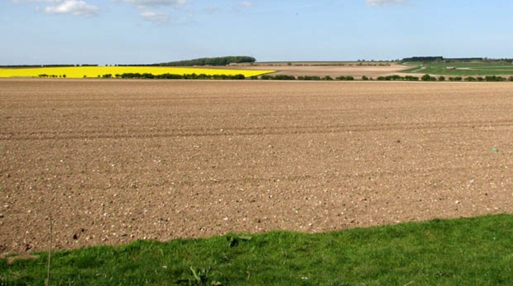 Ảnh "Làng Barton Bendish" của Evelyn Simak (CC BY-SA) / Cắt từ ảnh gốc