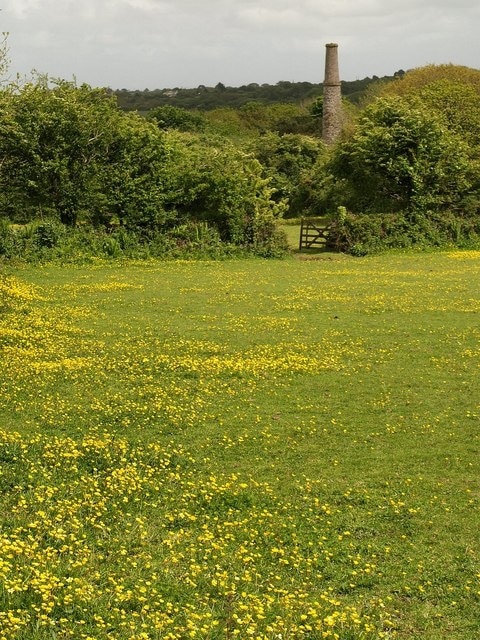 Calciner chimney near Hawke's Shaft. This is the chimney shown in 588921, seen from bridleway 301/16/2 across a buttercup meadow. http://www.imagesofengland.org.uk/Details/Default.aspx?id=63184&mode=adv describes this chimney but shows a picture of the nearby blacksmith's shop instead.