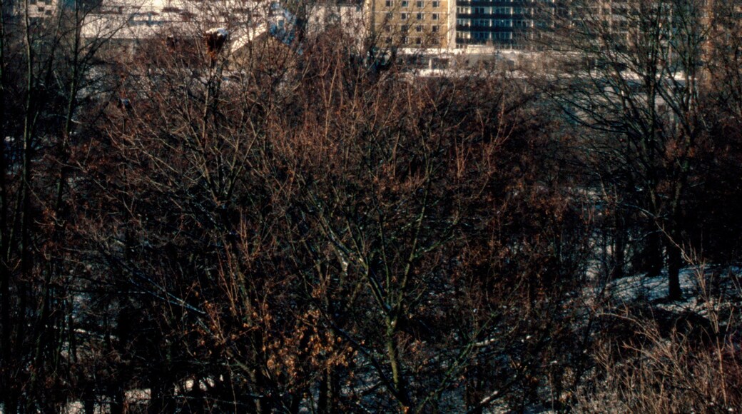 Photo "Schwabing-West" by buzzard525 (CC BY) / Cropped from original