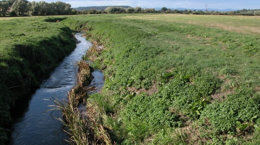 Billede "Leigh" af Philip Halling (CC BY-SA) / beskåret fra det originale billede