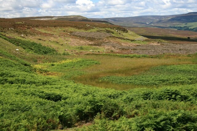 "Ellerton Abbey"-foto av Mick Garratt (CC BY-SA) / Urklipp från original