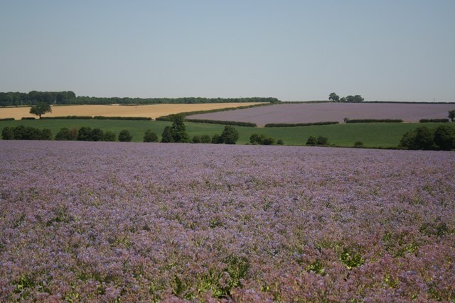 Photo "Wold Newton" by Richard Croft (CC BY-SA) / Cropped from original