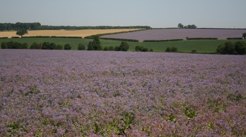 Photo "Wold Newton" by Richard Croft (CC BY-SA) / Cropped from original