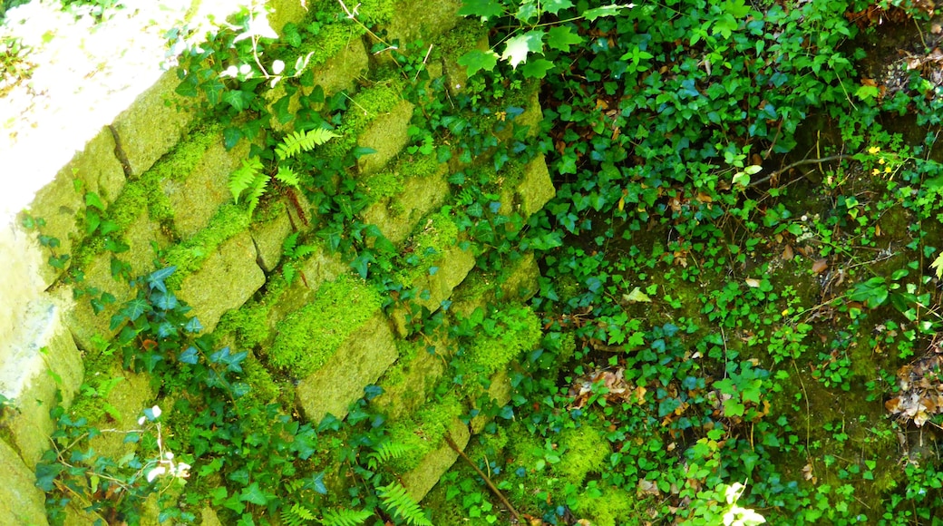Photo "Julbach" by luckprof (CC BY-SA) / Cropped from original