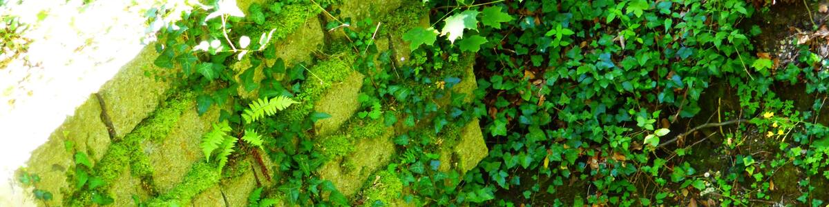 Photo "Julbach Schlossberg (Brunnen)" by luckprof (Creative Commons Attribution-Share Alike 3.0) / Cropped from original