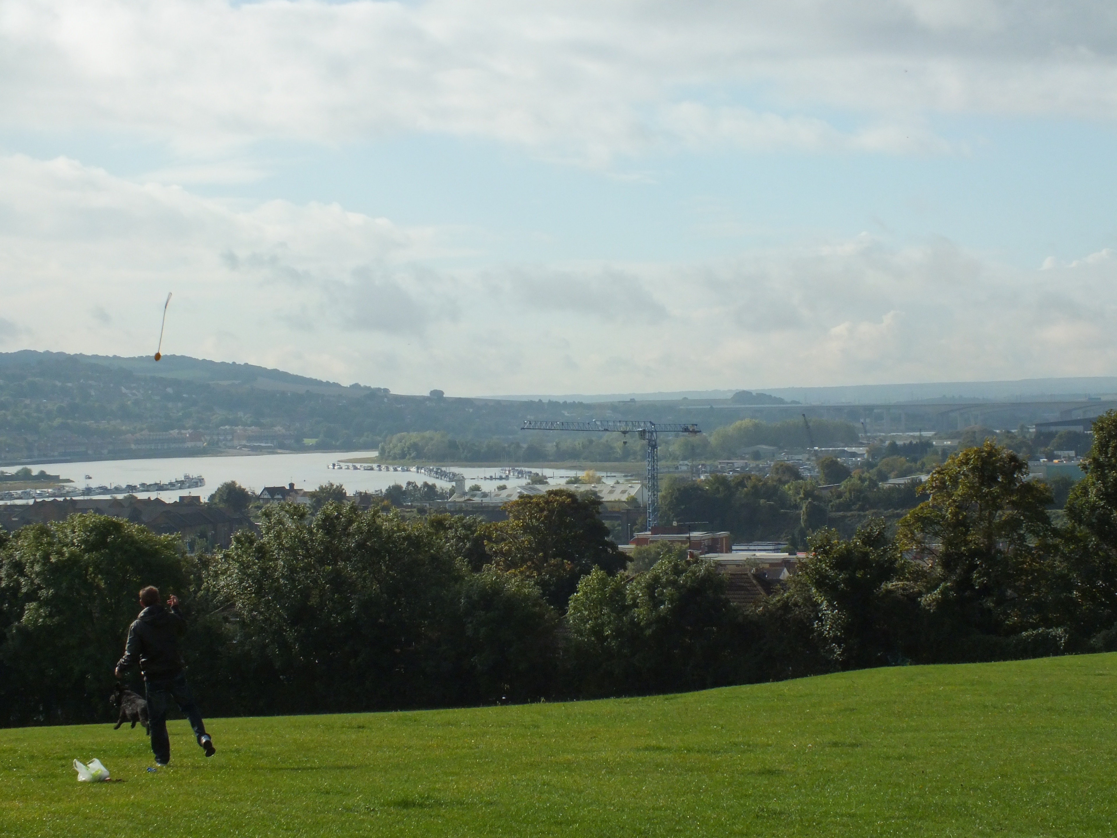 Foto "Wainscot" por Clem Rutter, Rochester, Kent (CC BY) / Recortada de la original