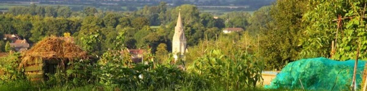 Photo "Howe allotments in Windmill Lane" by Steve Daniels (Creative Commons Attribution-Share Alike 2.0) / Cropped from original