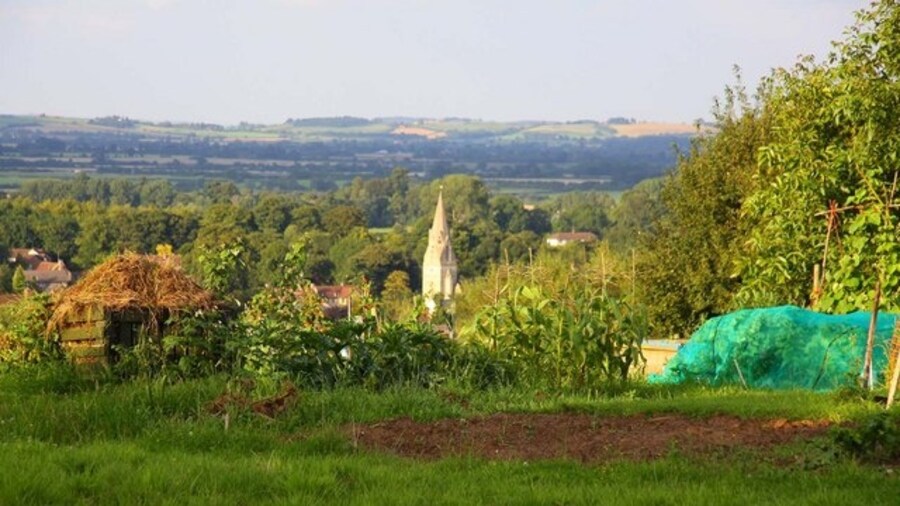 Photo "Howe allotments in Windmill Lane" by Steve Daniels (Creative Commons Attribution-Share Alike 2.0) / Cropped from original
