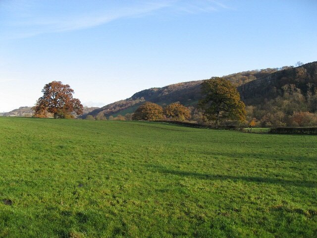 Photo "Marske" by Roger Gilbertson (CC BY-SA) / Cropped from original