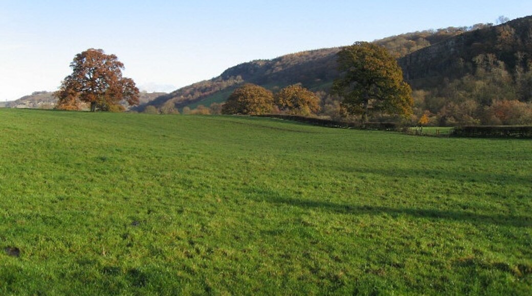 Photo "Marske" by Roger Gilbertson (CC BY-SA) / Cropped from original