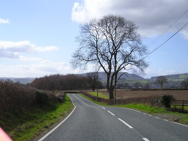 Photo "Lydham" by anne newcombe (CC BY-SA) / Cropped from original