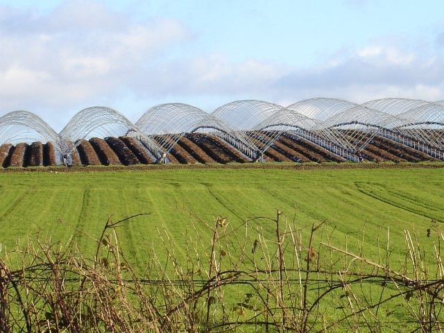 Hoops and ridges The hoops for the poly tunnels look like giant slinkies, half buried and creeping over the ridge. Later, when the polythene covers them they will resemble great lakes covering much of the land.