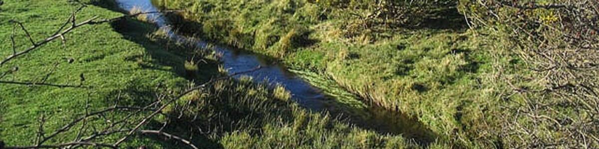 Photo "Embleton Burn at Prickley Bridge" by Walter Baxter (Creative Commons Attribution-Share Alike 2.0) / Cropped from original