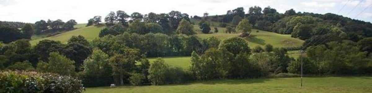 Photo "Hillside near Llanyblodwel Afon Tanat runs next to the first line of trees." by Peter Craine (Creative Commons Attribution-Share Alike 2.0) / Cropped from original