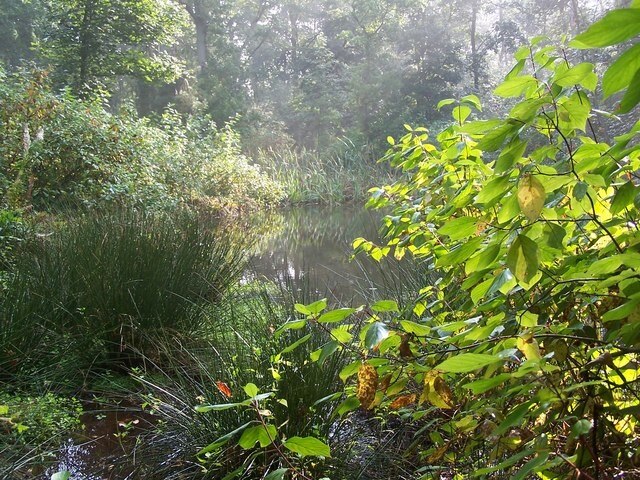 Ảnh "Middridge" của malcolm tebbit (CC BY-SA) / Cắt từ ảnh gốc