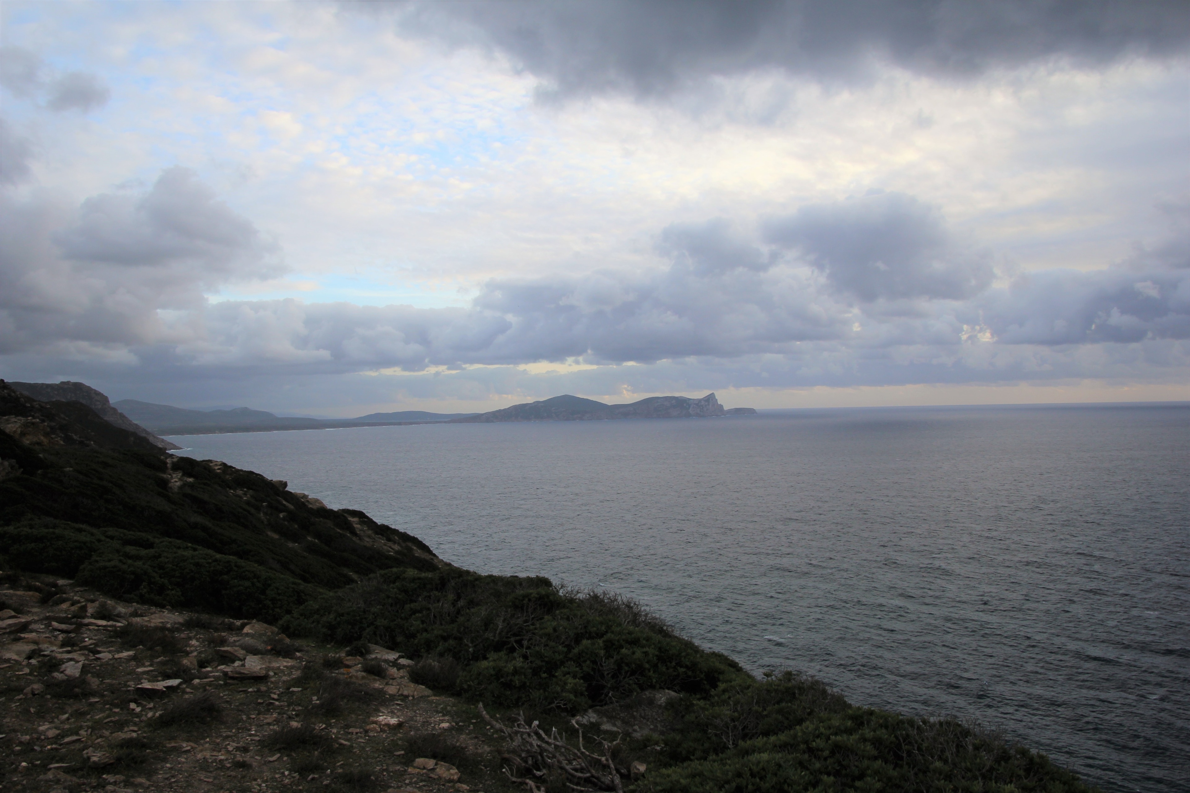 La Sassari Torres punta al grande ritorno