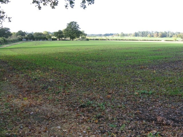 Foto “White Ladies Aston” tomada por Whatlep (CC BY-SA); recorte de la original