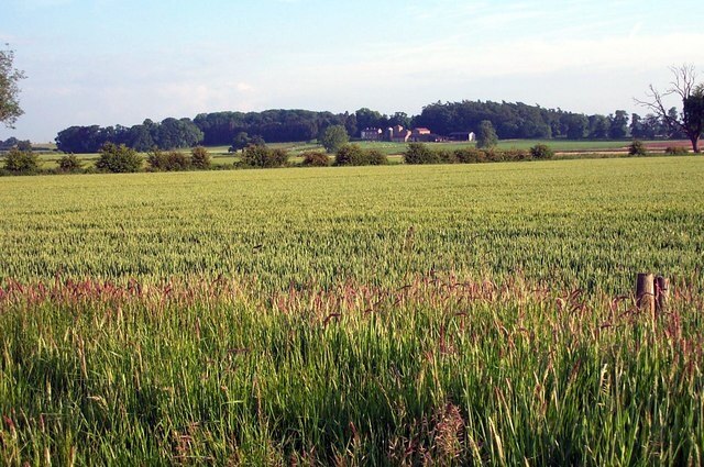 Photo "Cundall with Leckby" by derek dye (CC BY-SA) / Cropped from original