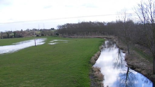 Ảnh "Wickham Market" của Adrian Cable (CC BY-SA) / Cắt từ ảnh gốc