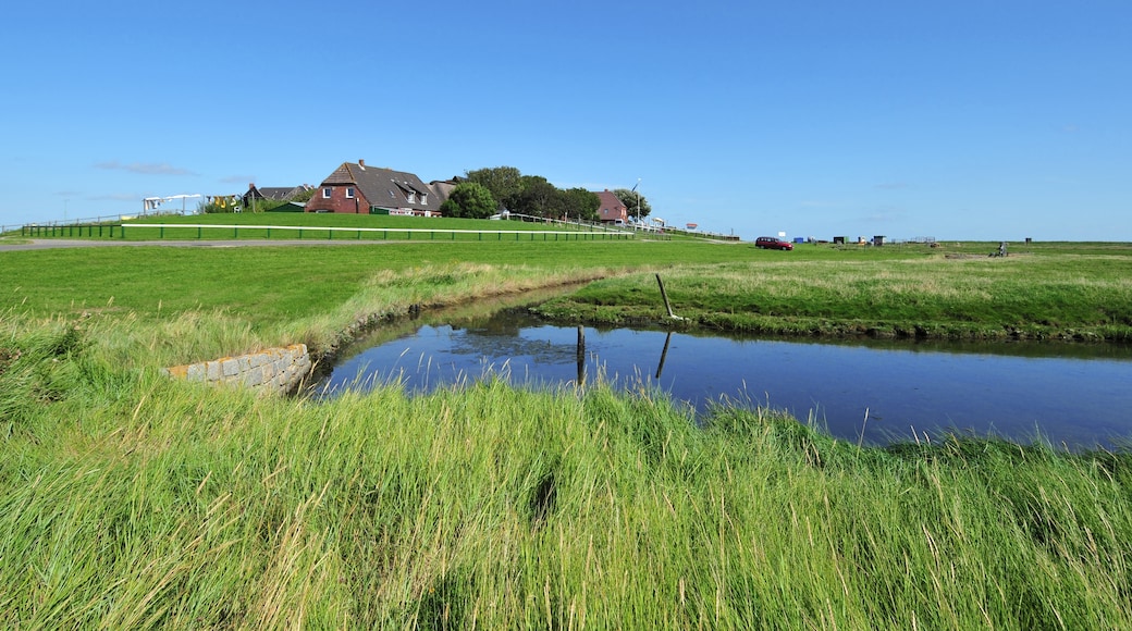Photo "Hallig Hooge" by Michael Gäbler (CC BY) / Cropped from original