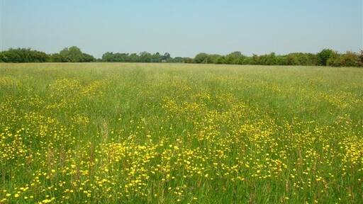 Photo "Rufforth" by DS Pugh (CC BY-SA) / Cropped from original