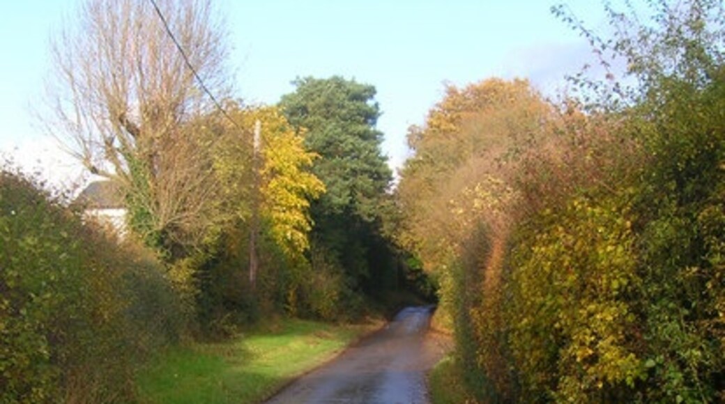 Foto "Fulking" por Simon Carey (CC BY-SA) / Recortada de la original