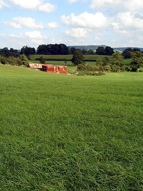 Kuva ”Ham ja Stone” käyttäjältä Linda Bailey (CC BY-SA) / rajattu alkuperäisestä kuvasta