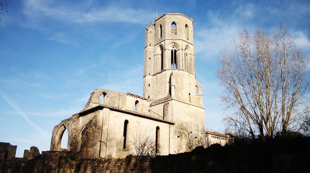 Foto ‘Abbaye de la Sauve-Majeure’ van Oiseauparadigme (page does not exist) (CC BY-SA) / bijgesneden versie van origineel
