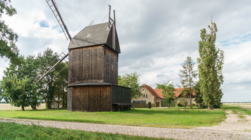 Foto ‘Wiedemar’ van Radler59 (CC BY-SA) / bijgesneden versie van origineel