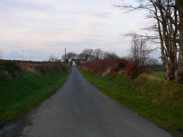 Lon bach ger Talgarreg / Small lane near Talgarreg Lon bach gyda Penlon yn y pellter / Small lane with Penlon in the distance.