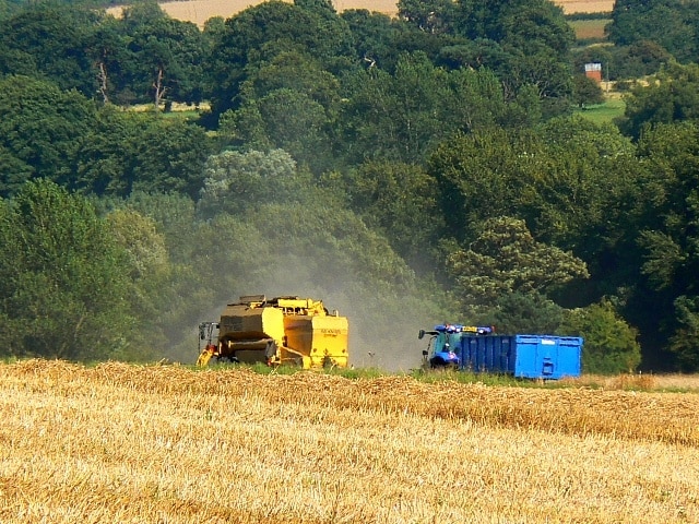 Foto "Etchilhampton" por Brian Robert Marshall (CC BY-SA) / Recortada de la original