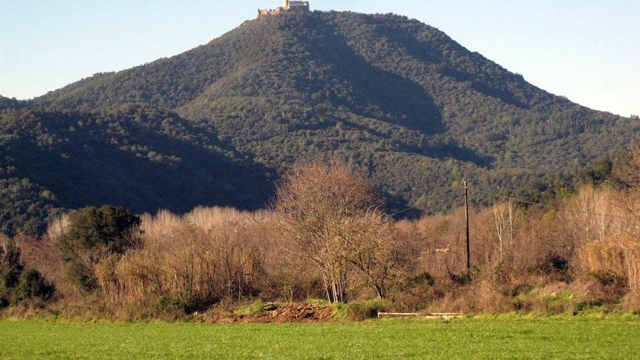 Photo "Castell de Montsoriu (Arbúcies i Sant Feliu de Buixelleu)" by Enfo (Creative Commons Attribution-Share Alike 3.0) / Cropped from original