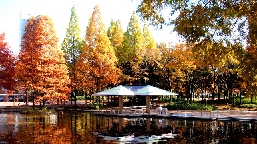 Photo "神宮東公園 Jinguhigashi park" by KUNIO MIURA (Creative Commons Attribution 3.0) / Cropped from original