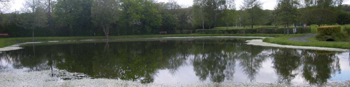 Photo "etang a forges-la-foret" by chisloup (Creative Commons Attribution 3.0) / Cropped from original