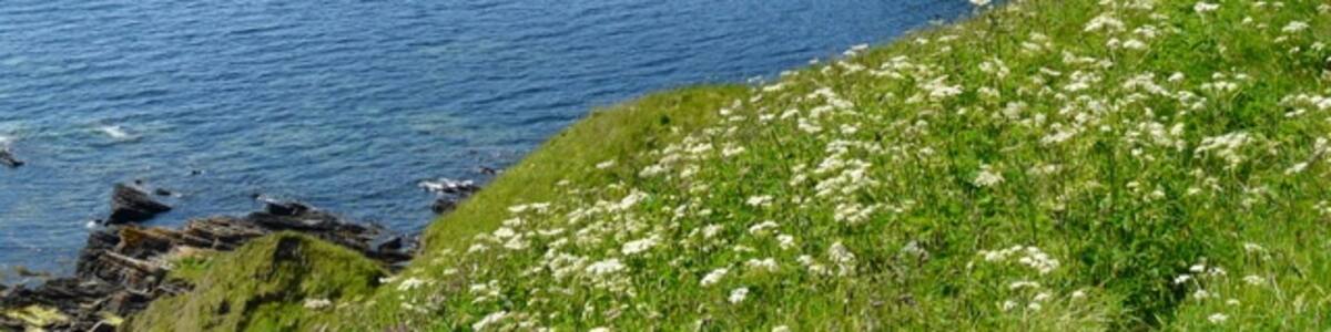 Photo "Shoreline near Forse Castle." by sylvia duckworth (Creative Commons Attribution-Share Alike 2.0) / Cropped from original