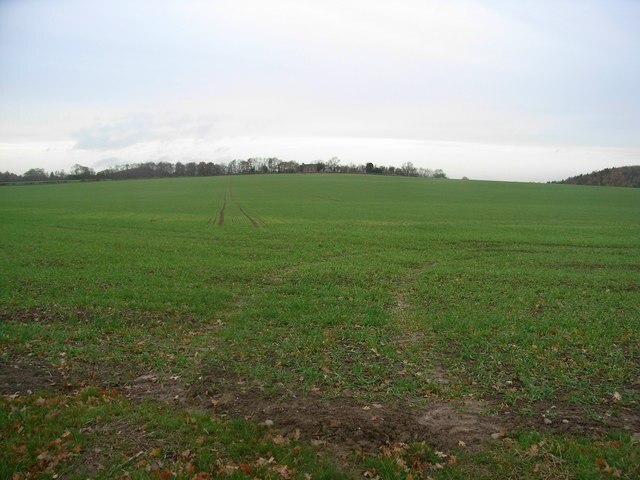 Photo "Cound" by Jennifer Luther Thomas (CC BY-SA) / Cropped from original