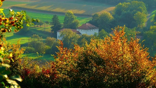 Photo "Mühlhausen an der Enz" by Dg-505 (CC BY) / Cropped from original