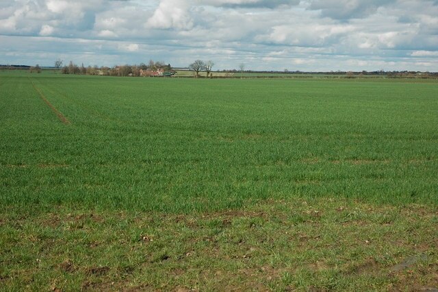 Billede "Wormington" af Philip Halling (CC BY-SA) / beskåret fra det originale billede