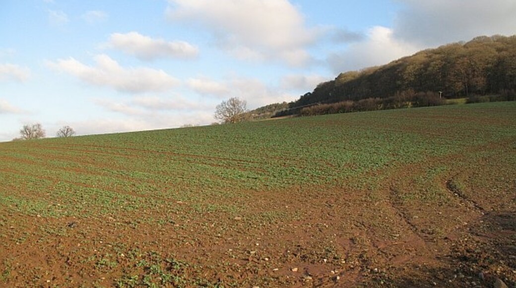 Photo "Stanton Lacy" by Richard Webb (CC BY-SA) / Cropped from original