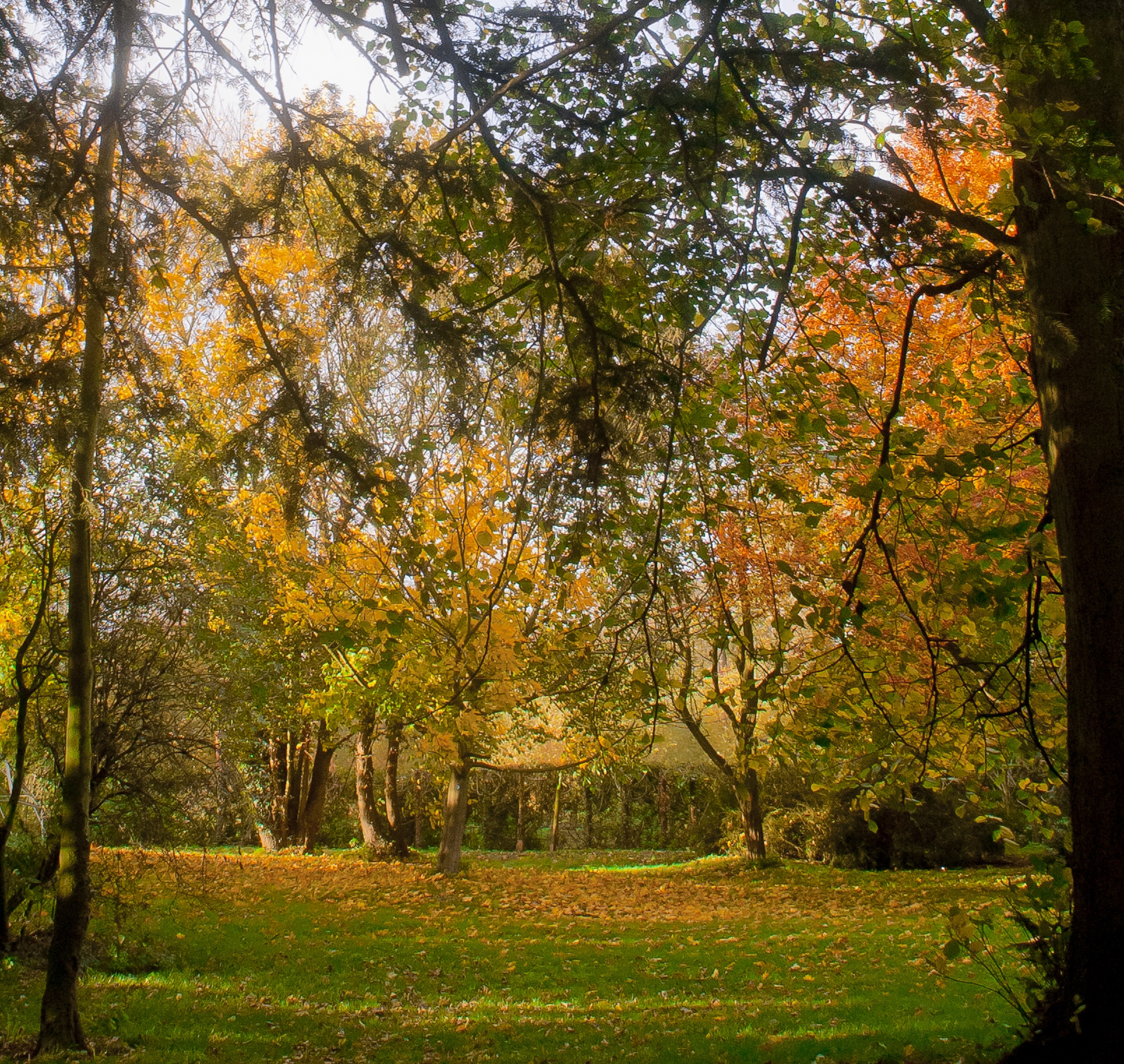 Foto “Langton” tomada por Thomas Tolkien (CC BY); recorte de la original