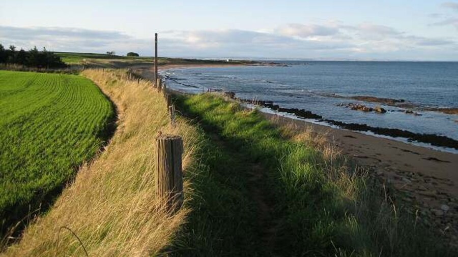 Photo "Late afternoon on the Fife coast Looking along the Fife Coastal Path towards Babbet Ness. The smudge along the horizon is a distant view of the coast across the Tay estuary around Monifieth." by Lis Burke (Creative Commons Attribution-Share Alike 2.0) / Cropped from original