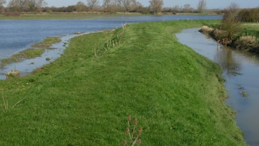 Photo "Over" by Hugh Venables (CC BY-SA) / Cropped from original