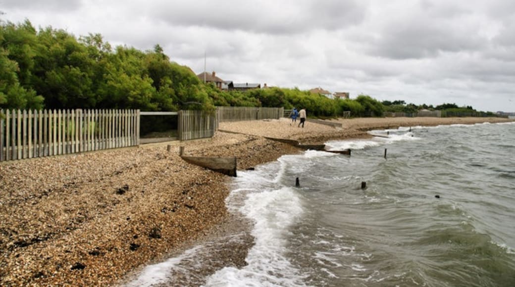 Foto „Hill Head Beach“ von Pierre Terre (CC BY-SA)/zugeschnittenes Original