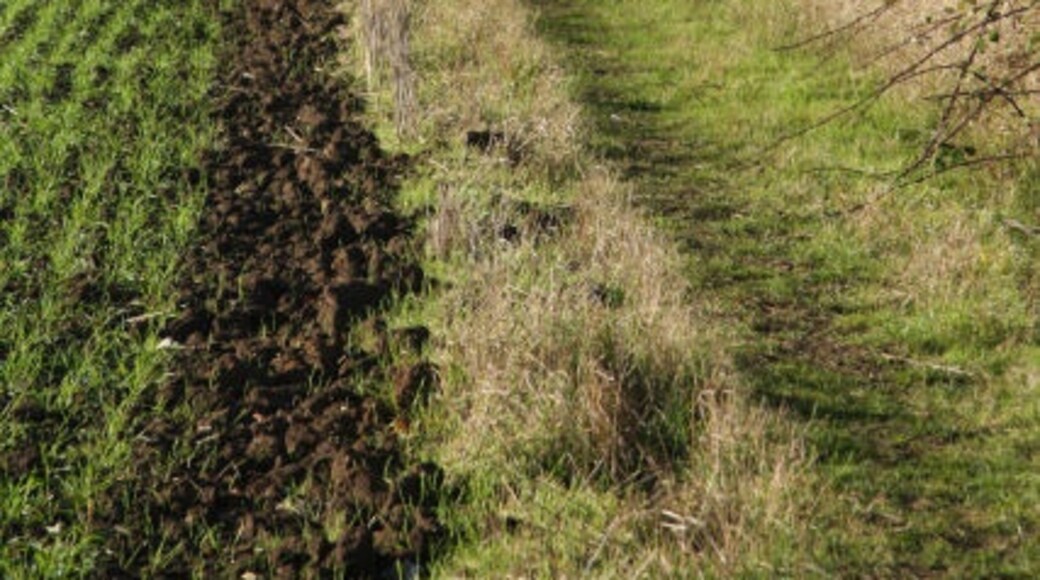 Foto "Hunston" de Bob Jones (CC BY-SA) / Recortada do original