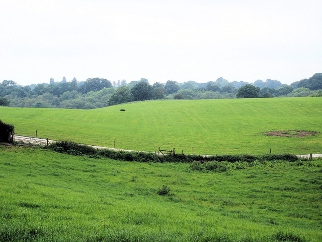 Whitchurch - Bubney Moor Whitchurch - Bubney - view across dairy farmland from the bridleway that runs from the Shropshire Way to Bubney Moor towards the woodland in the valley of Red Brook that forms the Welsh border.