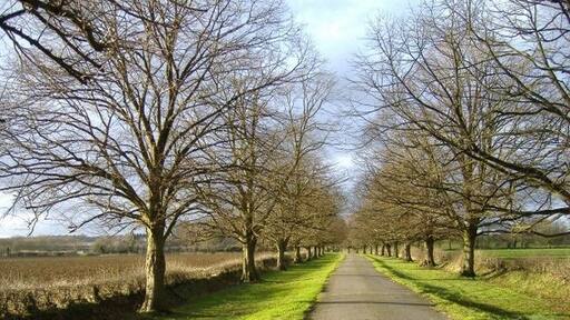 Kuva ”Chippenham Without” käyttäjältä Roger Cornfoot (CC BY-SA) / rajattu alkuperäisestä kuvasta